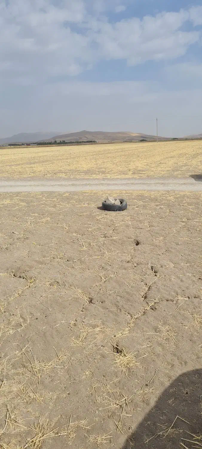 زمین کشاورزی|فروش دفتر صنعتی، کشاورزی، تجاری|کوزران, |دیوار