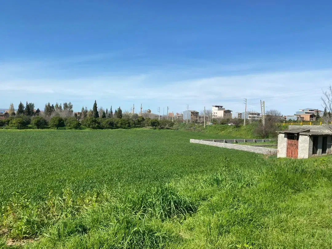 زمین برای سرمایه گذاری بهشر. خلیل شهر|فروش زمین و ملک کلنگی|خلیل شهر, |دیوار