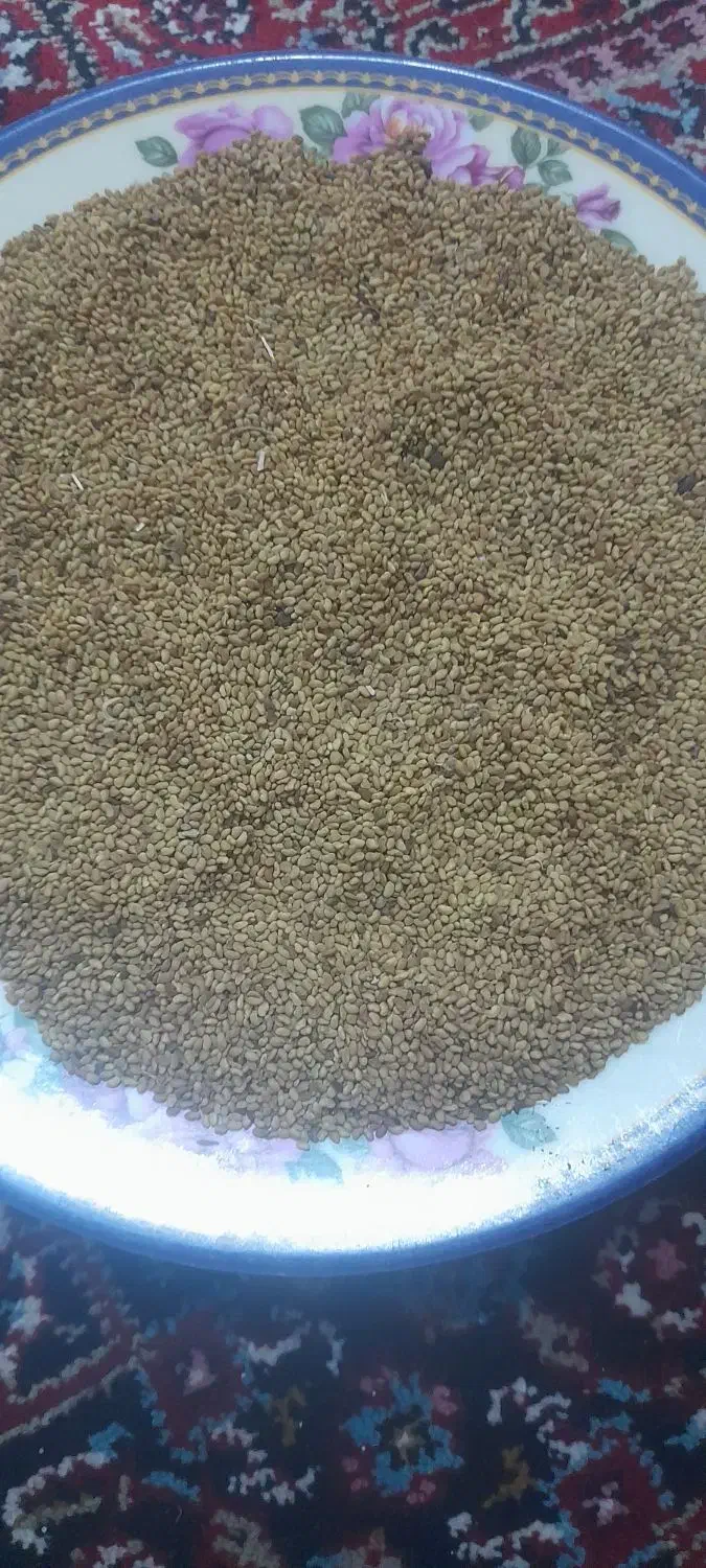 بزر یونجه|گل و گیاه طبیعی|مشگین شهر, |دیوار