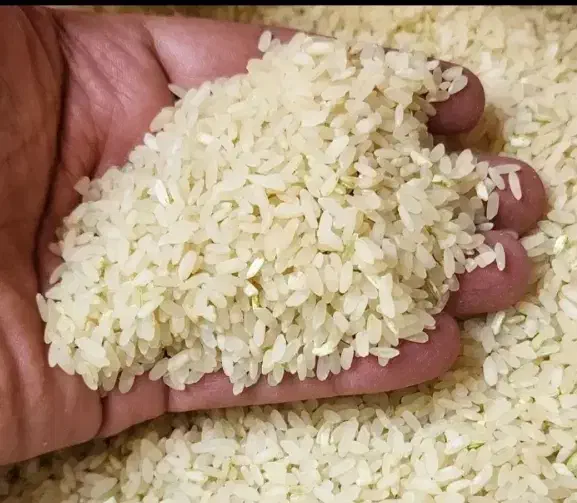 برنج کامفیروزی|خوردنی و آشامیدنی|خور (فارس), |دیوار