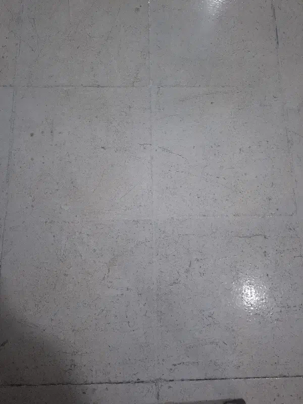 کار در دفتر شرکت|استخدام اداری و مدیریت|قزوین, |دیوار