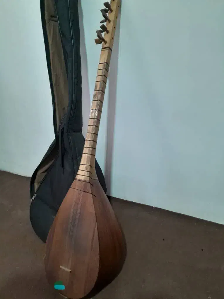 ساز سنتی با کیف|سازهای سنتی|تبریز, |دیوار