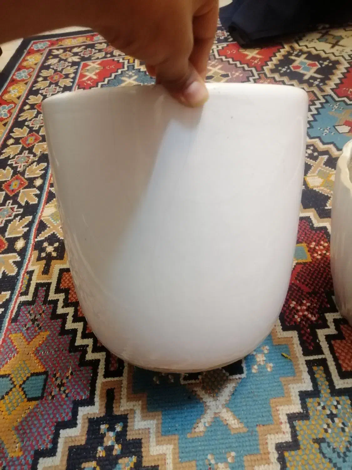 گلدون|گل و گیاه طبیعی|مشهد, نوید|دیوار