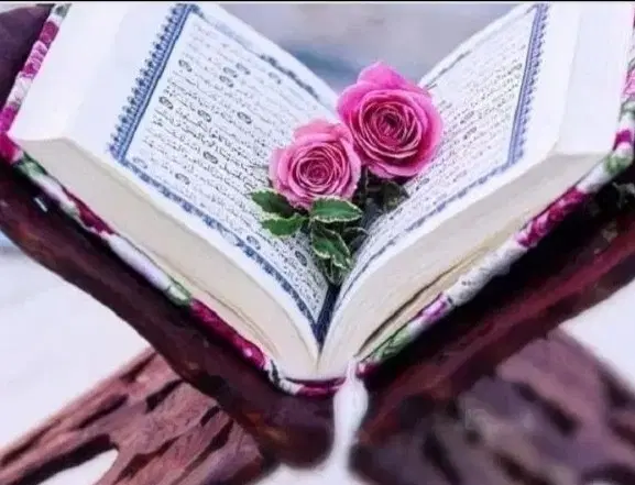 سرکتاب|کتاب و مجله مذهبی|فلاورجان, |دیوار