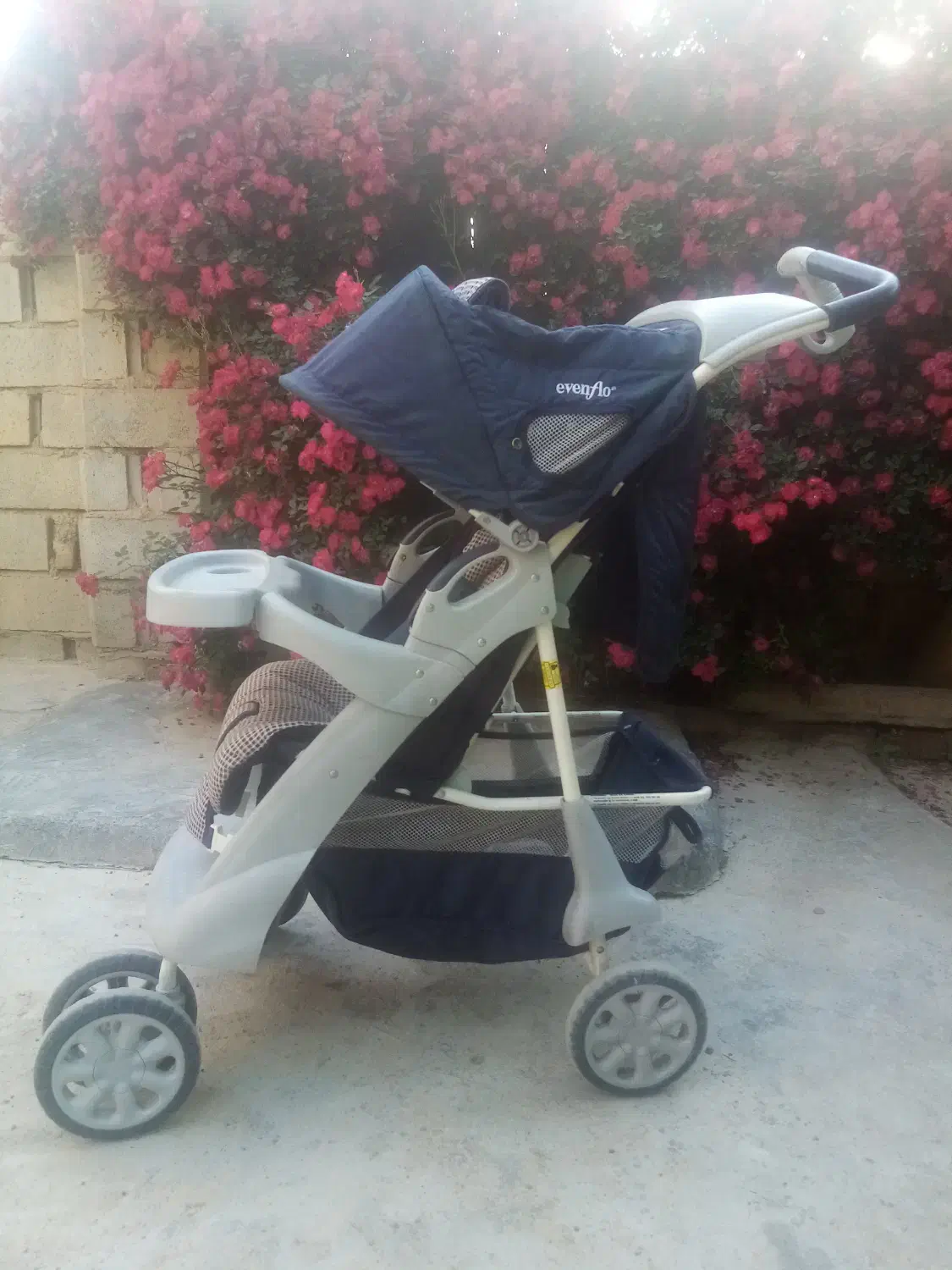 کالسکه و کریر|کالسکه و لوازم جانبی|گنبد کاووس, |دیوار