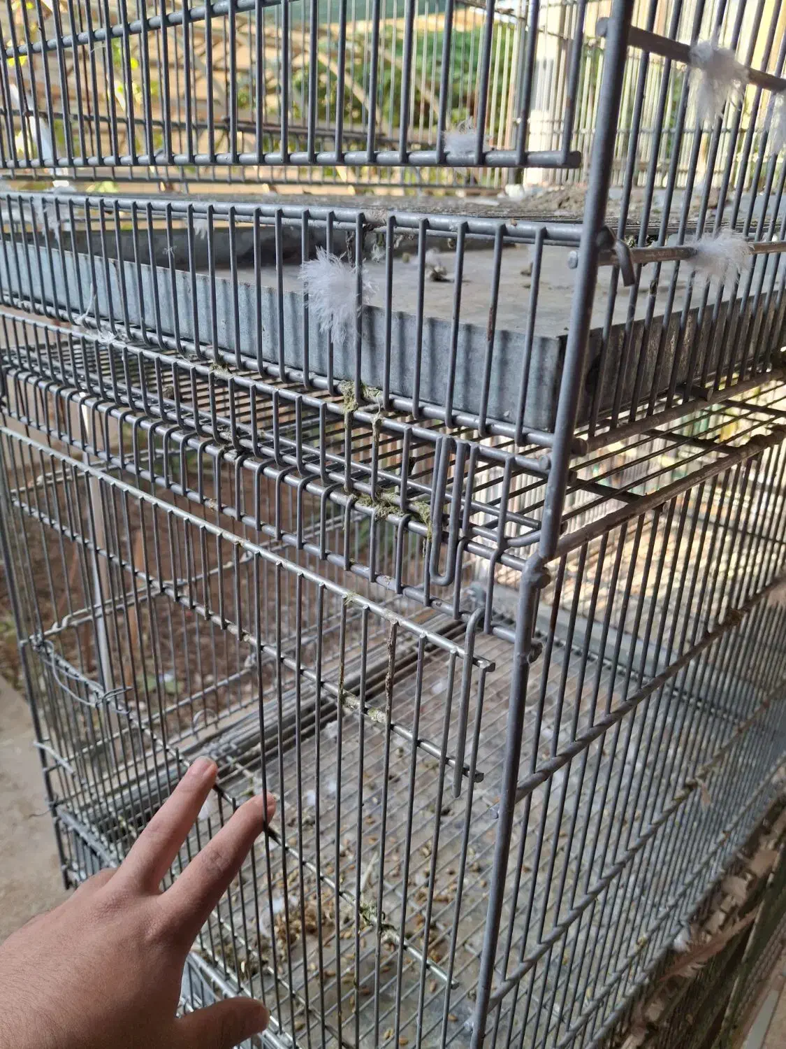 شش خان|لوازم جانبی حیوانات|میبد, |دیوار