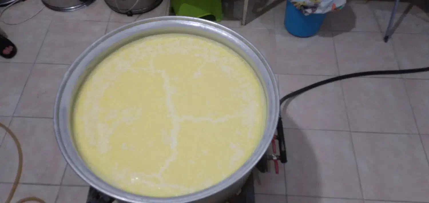 شیر گاو|خوردنی و آشامیدنی|اسکو, |دیوار