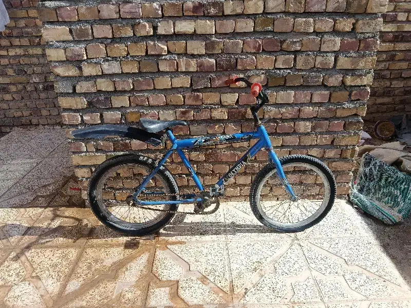 دوچرخه 20در حد|دوچرخه، اسکیت، اسکوتر|تربت جام, باغ سنگان سفلی|دیوار