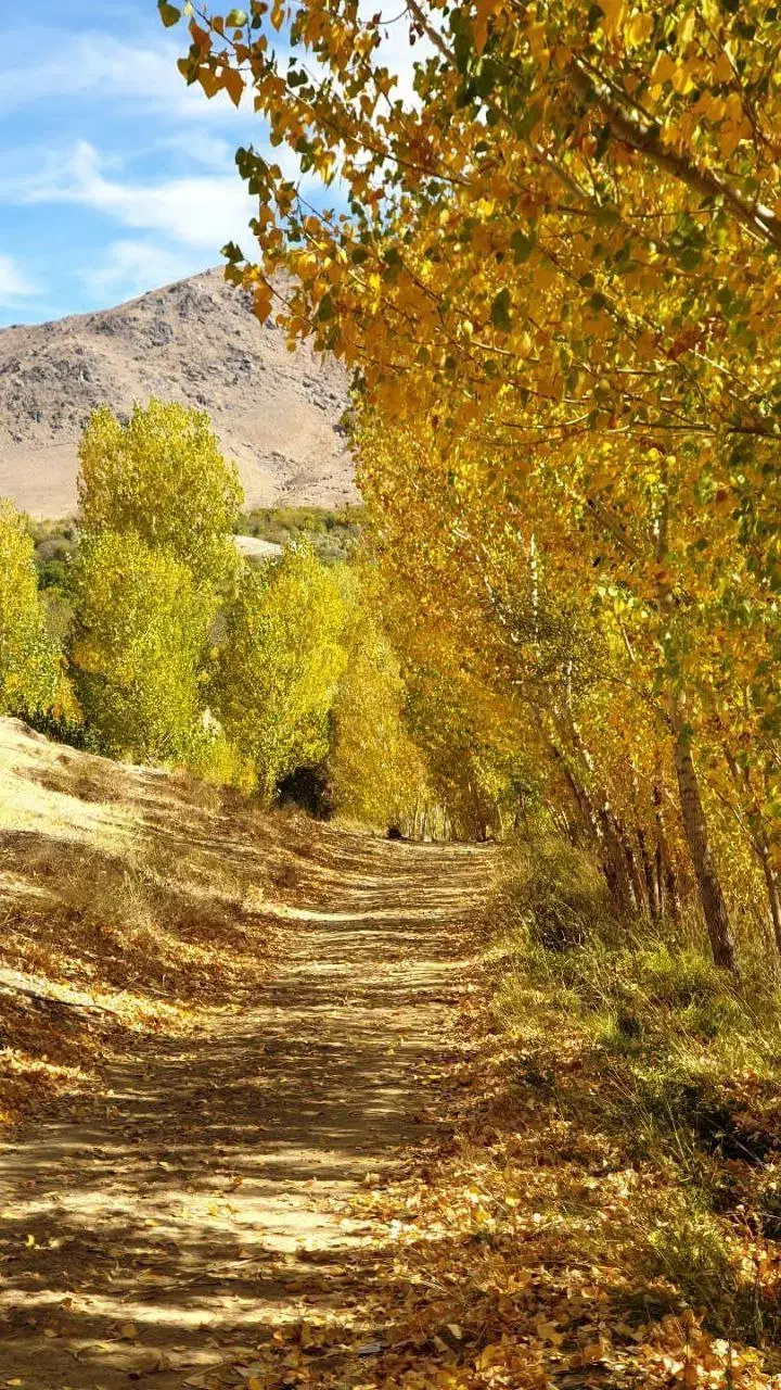 سرمایه گذاری یا شراکت|خدمات مالی، حسابداری، بیمه|همدان, |دیوار