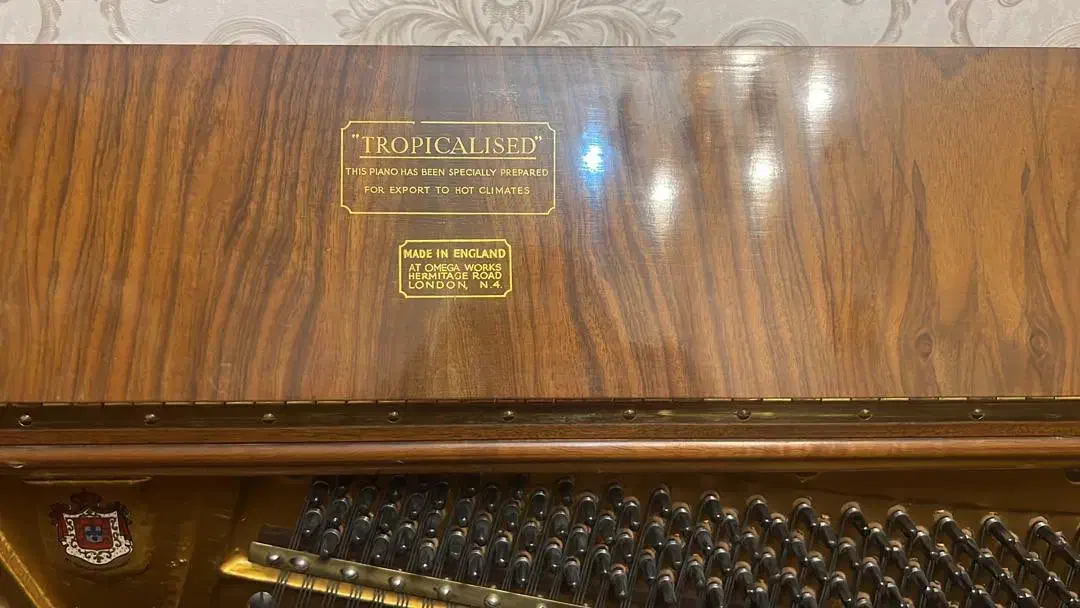 پیانو اکوستیک بسیار خوش صدا|پیانو، کیبورد، آکاردئون|تهران, سازمان برنامه جنوبی|دیوار