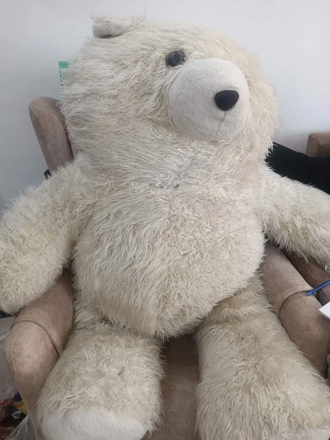 عروسک|اسباببازی بچه|مبارکه, |دیوار