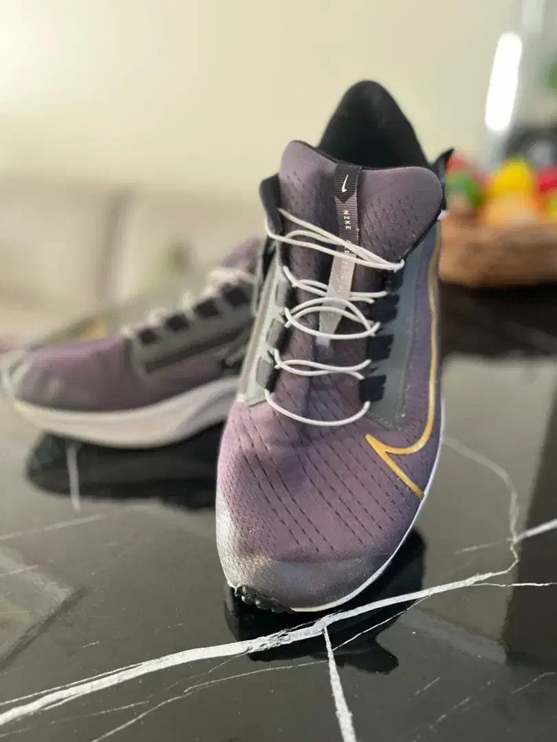 کتونی|کیف، کفش، کمربند|فردیس, داوری|دیوار