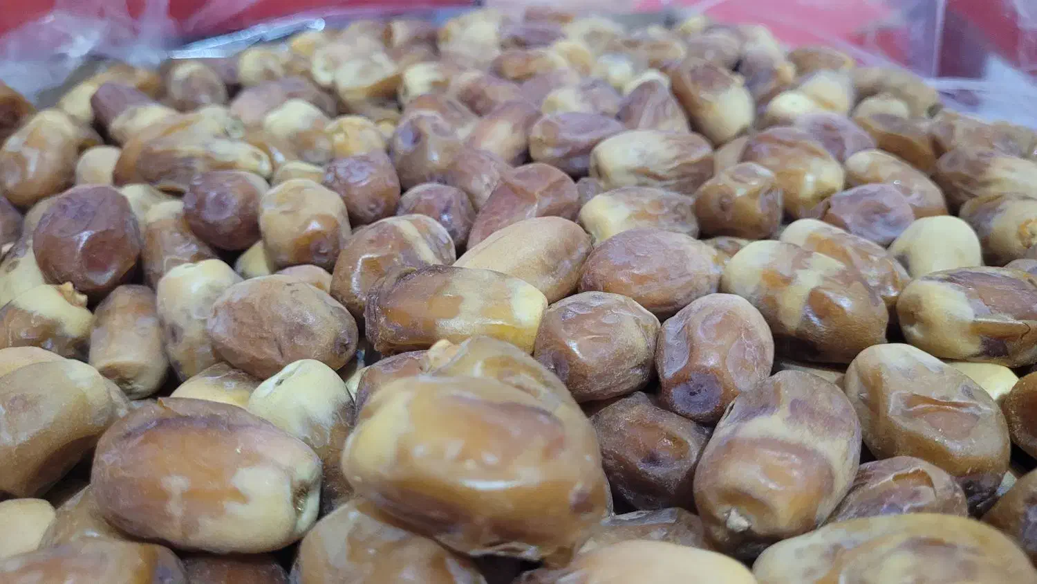 خرمای زاهدی(قسب) سوپر لوکس تضمینی،|عمده‌فروشی|ارم, |دیوار