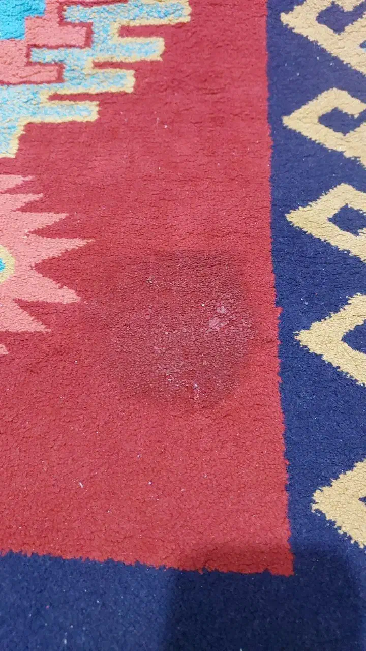 فرش طرح گلیم|فرش|تهران, خواجه نصیر طوسی|دیوار