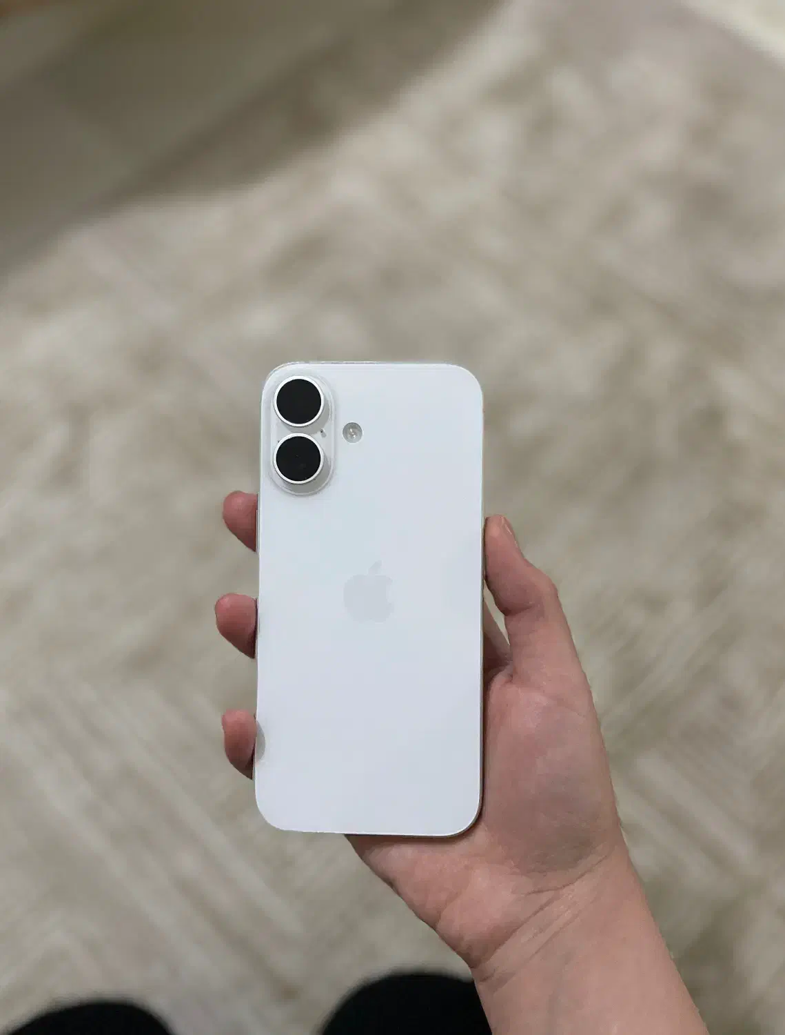 iphone16|موبایل|مشهد, استاد یوسفی (شهرک غرب)|دیوار