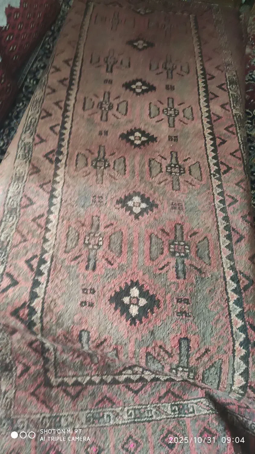 فرش قدیمی|فرش|شاهرود, |دیوار