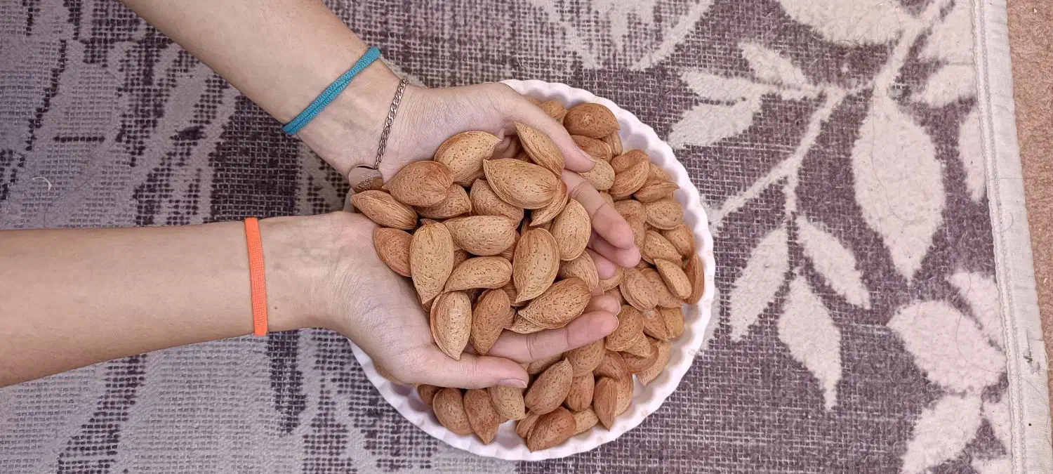 بادام سنگی تو پر و درشت|عمدهفروشی|مرند, |دیوار