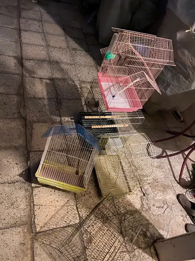 قفس پرنده|لوازم جانبی حیوانات|باغستان, |دیوار