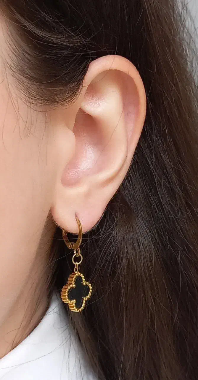 بدلجیات و اکسسوری|بدلیجات|جیرفت, |دیوار