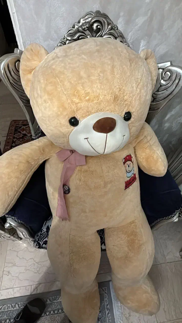 عروسک خرسی شاخصین|اسباب‌بازی بچه|پرند, فاز ۴|دیوار