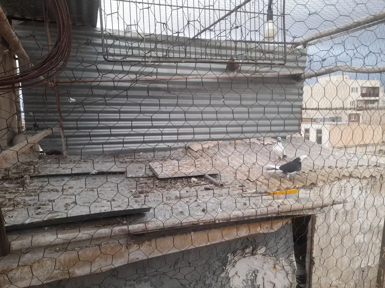 ۲ عدد در آهنی ۸۰ در ۷۰|پرنده|اراک, |دیوار