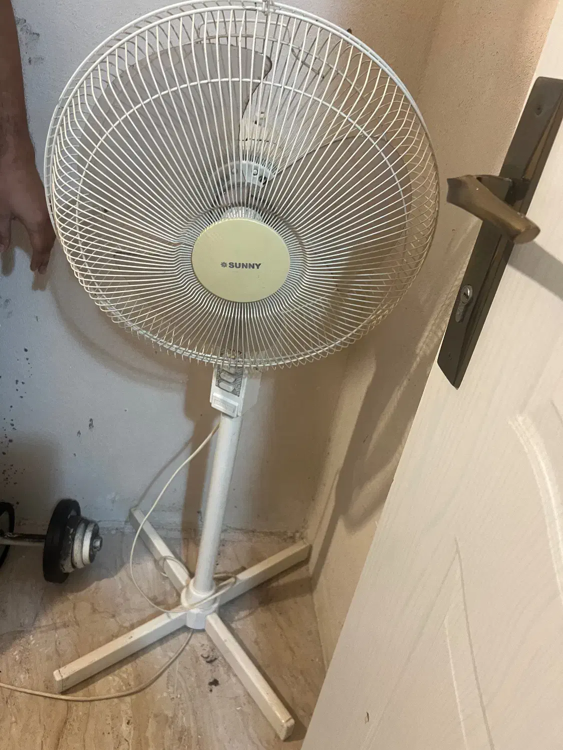 پنکه ایستاده|پنکه و تصفیه‌کنندهٔ هوا|رشت, کاکتوس|دیوار