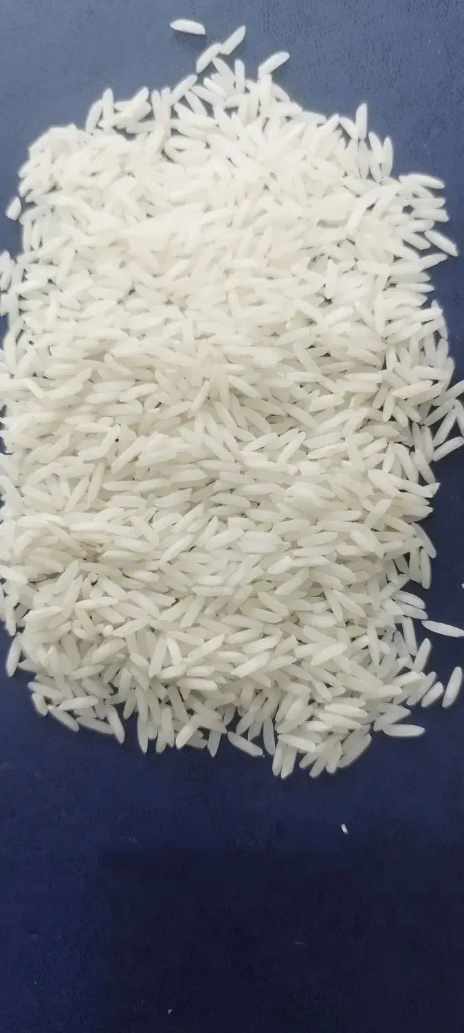 شریک جهت خرید و فروش برنج|استخدام مالی، حسابداری، حقوقی|محمدشهر, شهرک چمران|دیوار