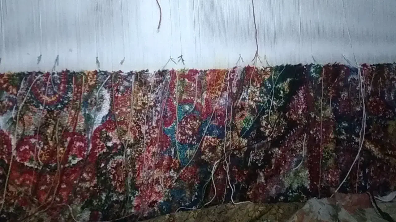 تولید مستقیم فرش دستباف تبریز ب مصرف کننده|فرش|تبریز, |دیوار