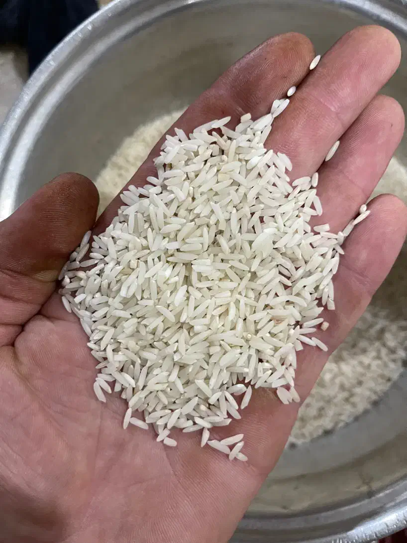 برنج هاشمی محصول خشکبیجار|خوردنی و آشامیدنی|رشت, بوسار|دیوار