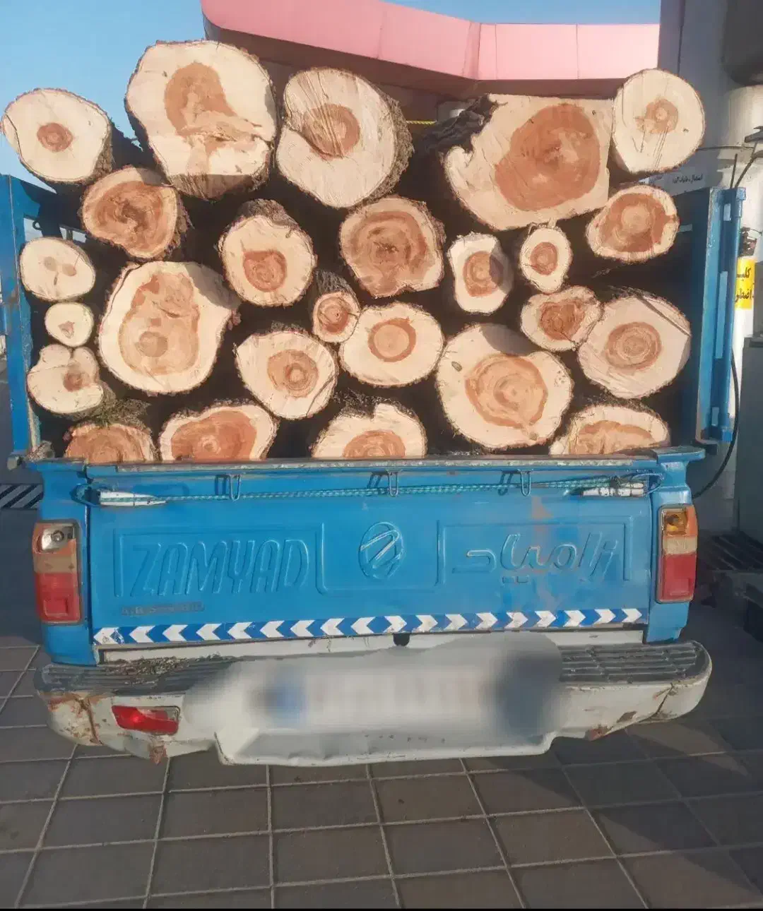 خرید درخت|خدمات باغبانی و درختکاری|اردبیل, |دیوار