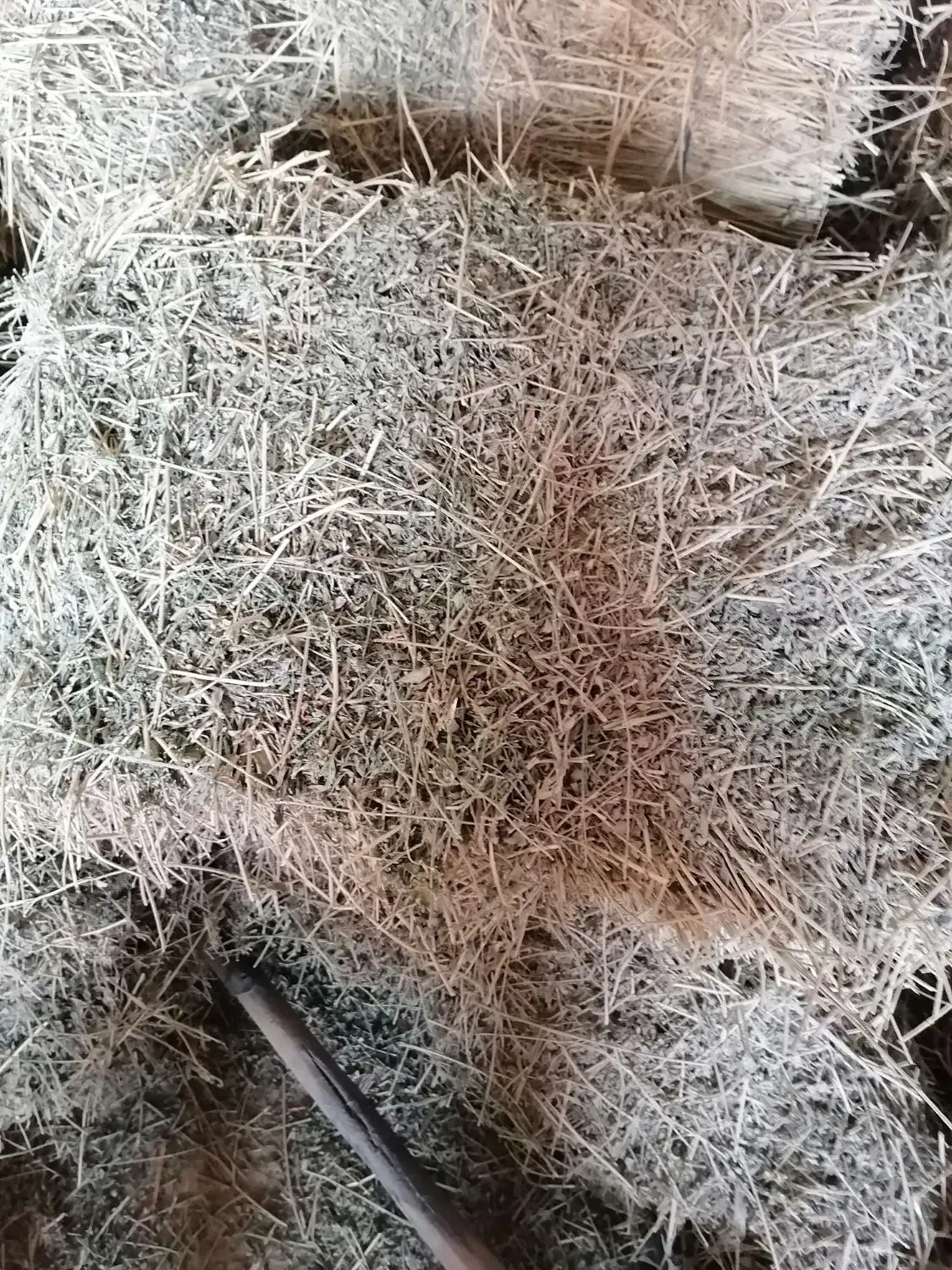 یونجه|عمده‌فروشی|مشهد, تبادکان|دیوار