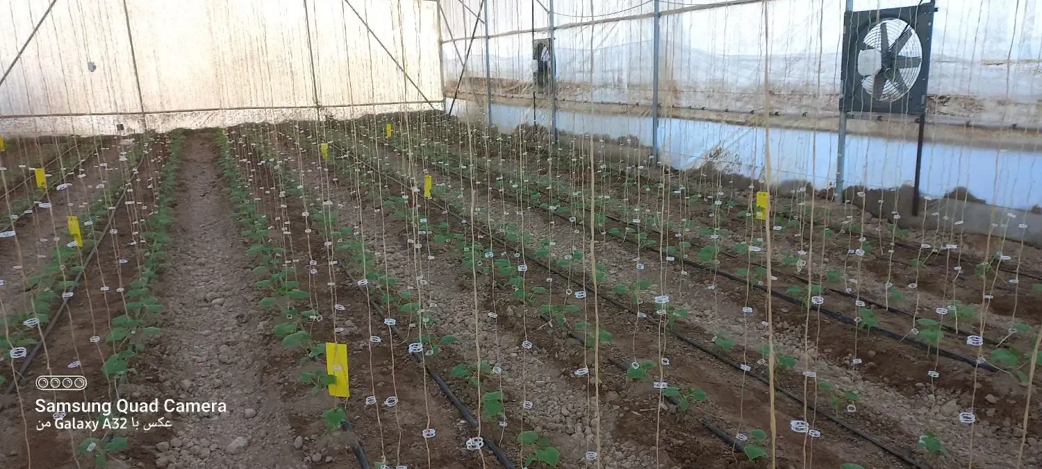 گلخانه مقیاس کوچک|مصالح و تجهیزات ساختمان|ارسنجان, |دیوار