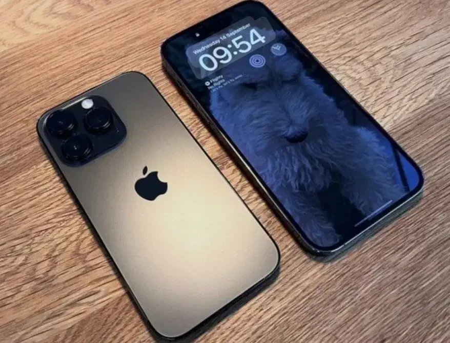 ایفون ۱۳ پرو|موبایل|نی‌ریز, |دیوار