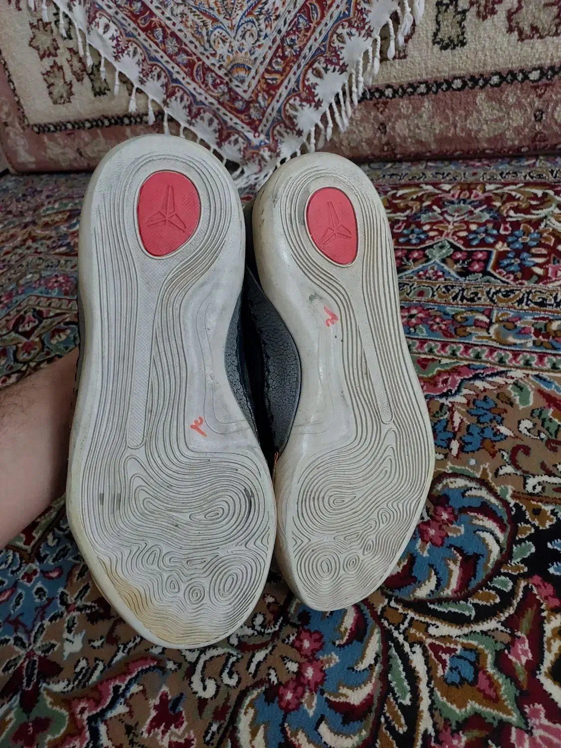 کفش سالنی فوتسال تاناکورا اورجینال سایز ۴۰|کیف، کفش، کمربند|کرمانشاه, |دیوار