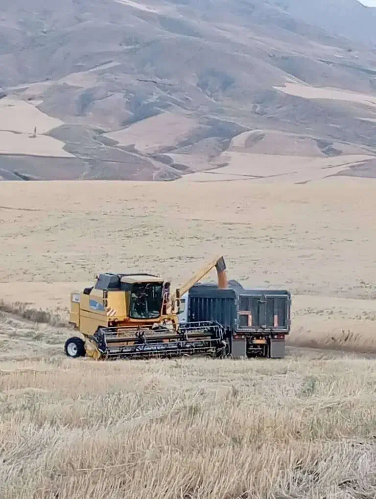 کمباین نیوهلند|خودرو سنگین|نقده, |دیوار