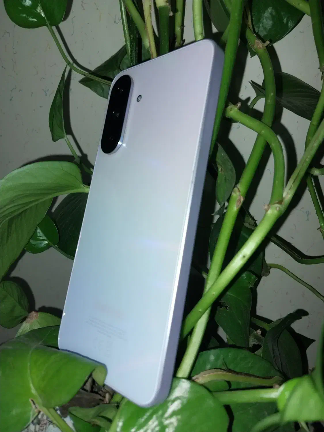 سامسونگ A36|موبایل|بجنورد, |دیوار