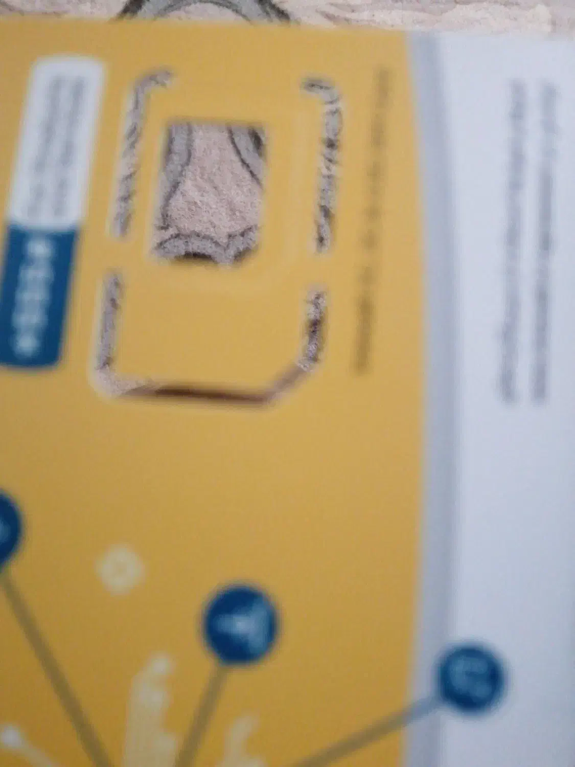 سیم کارت|سیمکارت|رشت, گلسار|دیوار