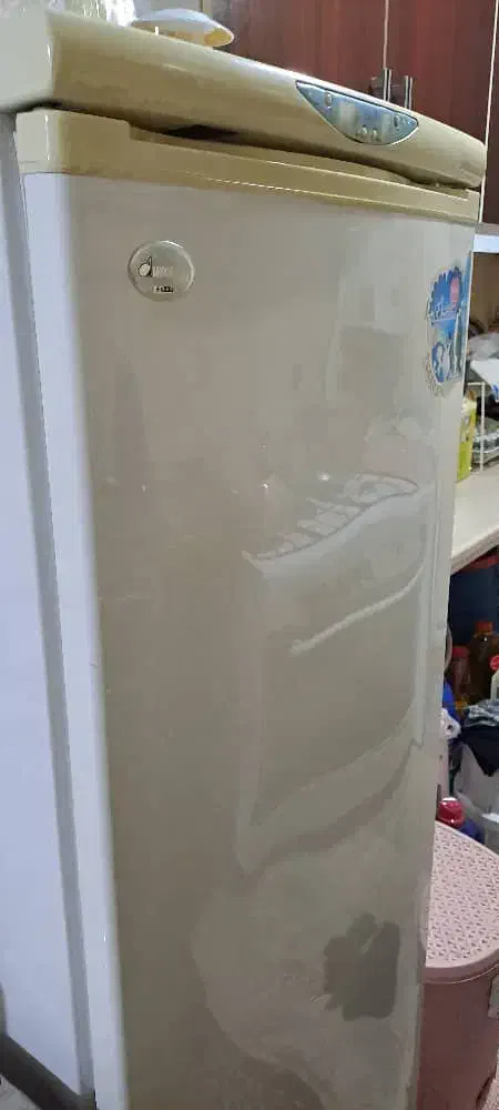 فروش فریزر|یخچال و فریزر|لاهیجان, لیالستان|دیوار