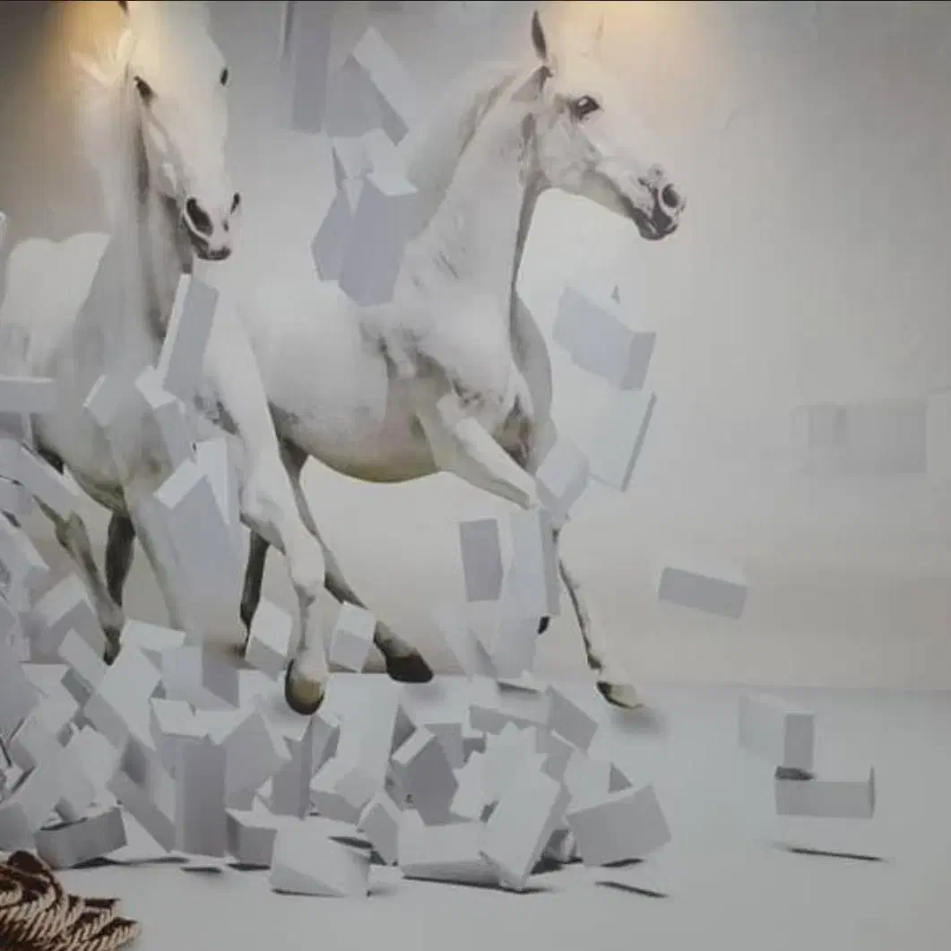 نصب کاغذ دیواری نصاب کاغذ دیواری|خدمات پیشه و مهارت|صدرا-فارس, فاز ۱|دیوار