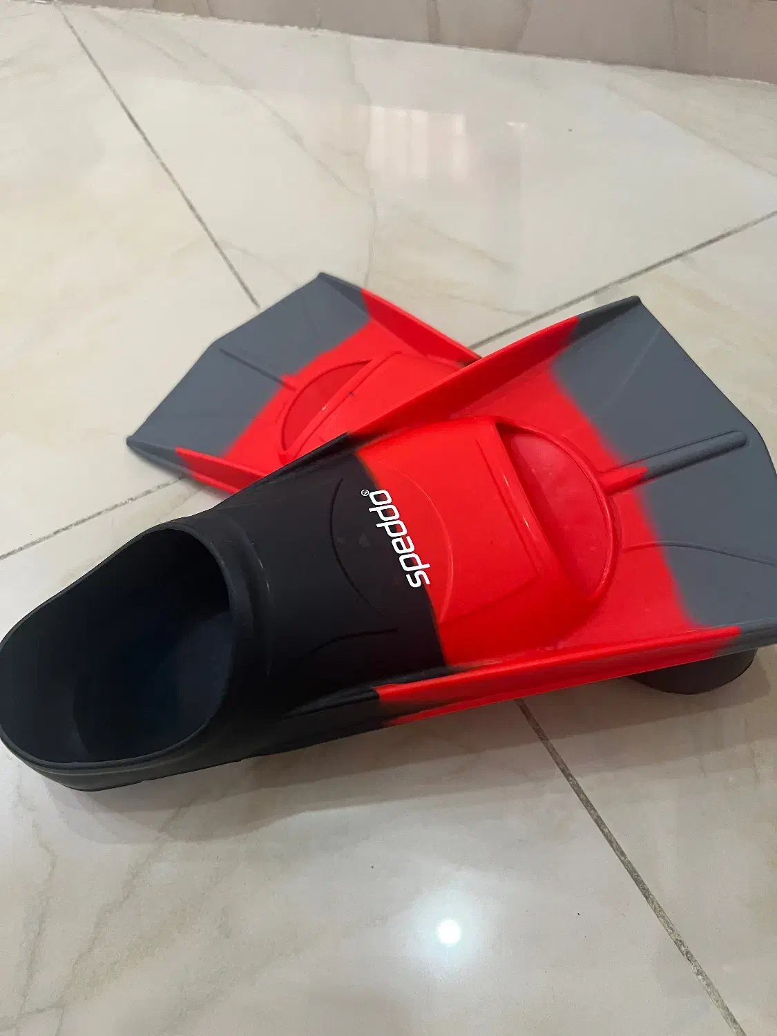 فین شنا|غواصی و ورزش‌های آبی|مشکین‌دشت, |دیوار