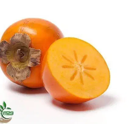 پیش فروش نهال خرمالو امریکایی|خدمات باغبانی و درختکاری|ازگله, |دیوار