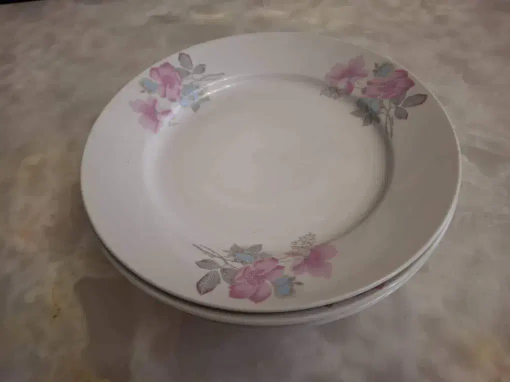 بشقاب تخت چینی|ظروف سرو و پذیرایی|ارومیه, |دیوار