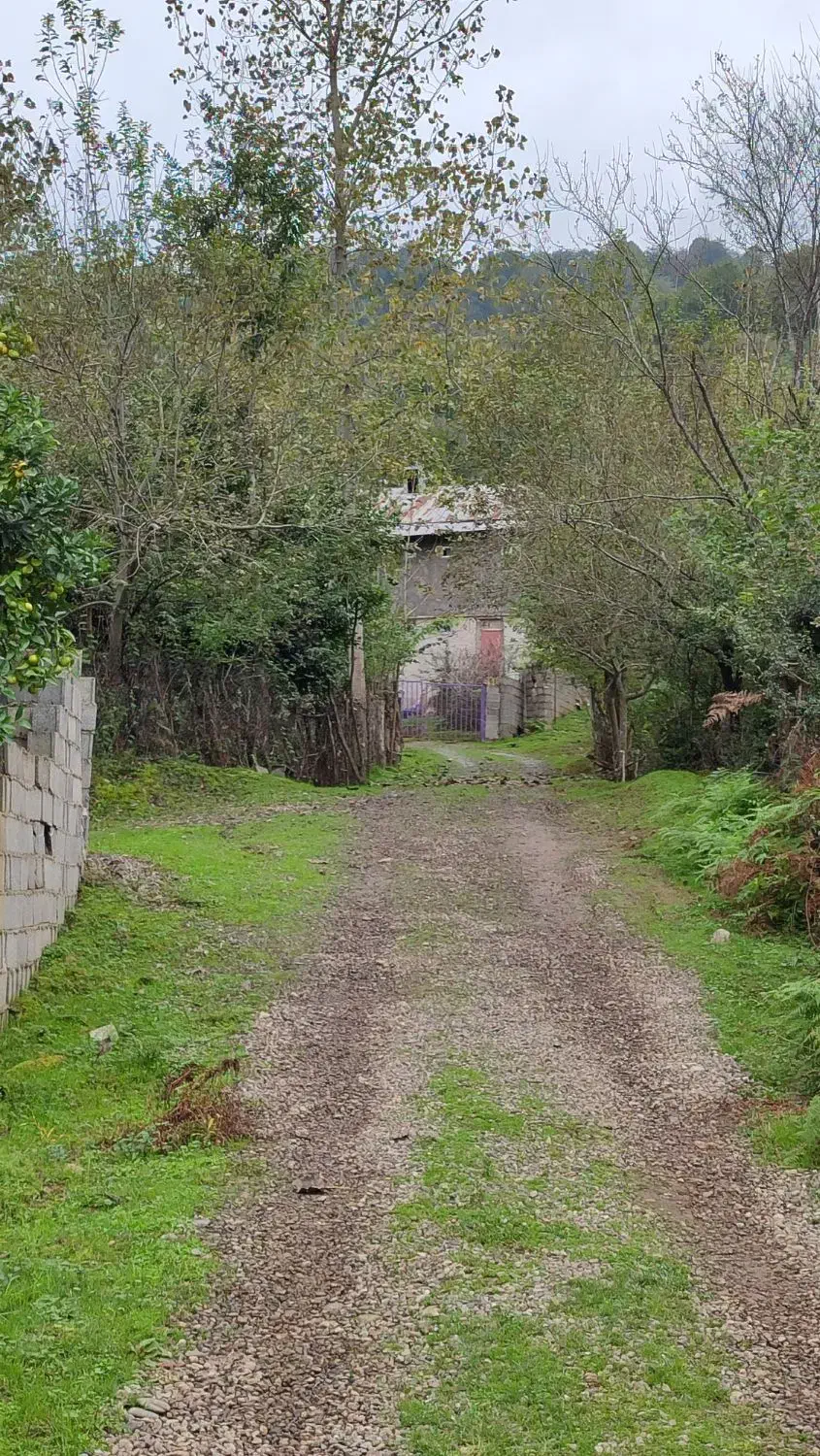 200 متر زمین مسکونی کوهپایه الیان|فروش زمین و ملک کلنگی|ماکلوان, |دیوار