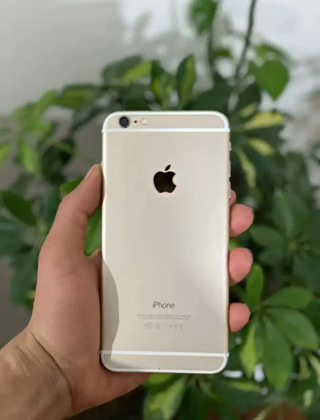 آیفون  plus 6|موبایل|پرند, فاز ۶|دیوار