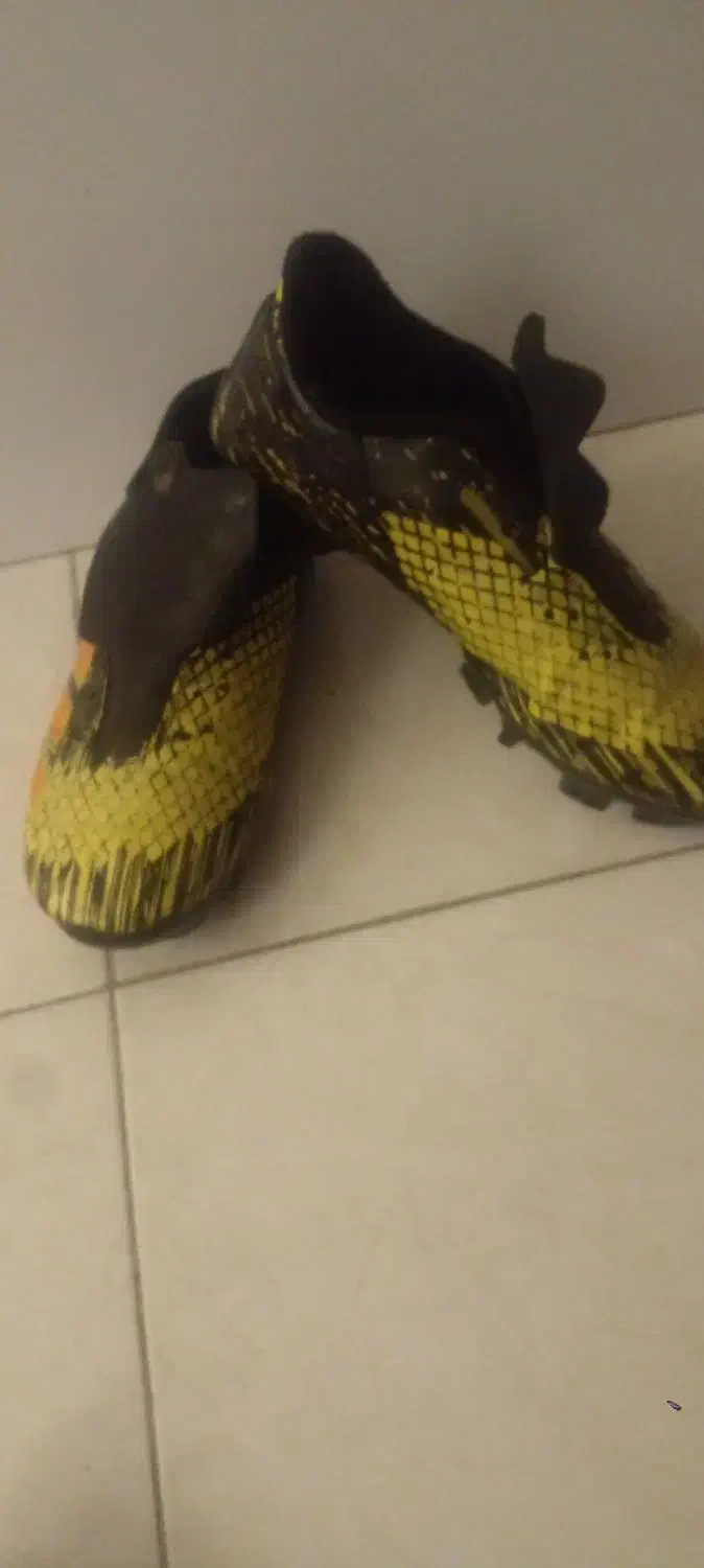 کفش فوتبال|کیف، کفش، کمربند|قدس, شهر‌قدس|دیوار