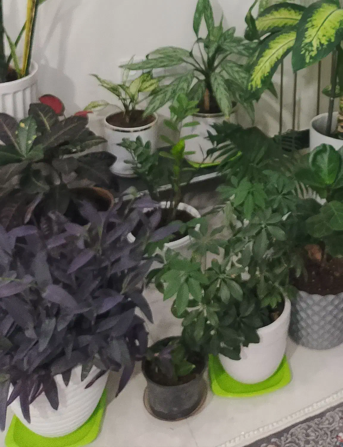 فراغت نیه|کتاب و مجله آموزشی|سنندج, |دیوار