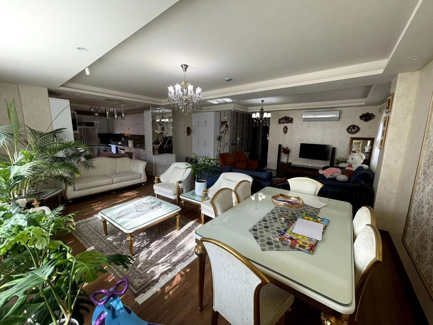 فروش تک واحد 146 متری در گلسار سمیه|فروش آپارتمان|رشت, کاکتوس|دیوار