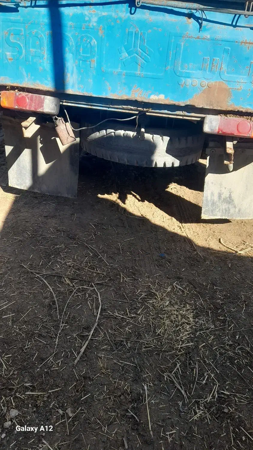 گمشده پلاک|حیوانات|قیدار, |دیوار