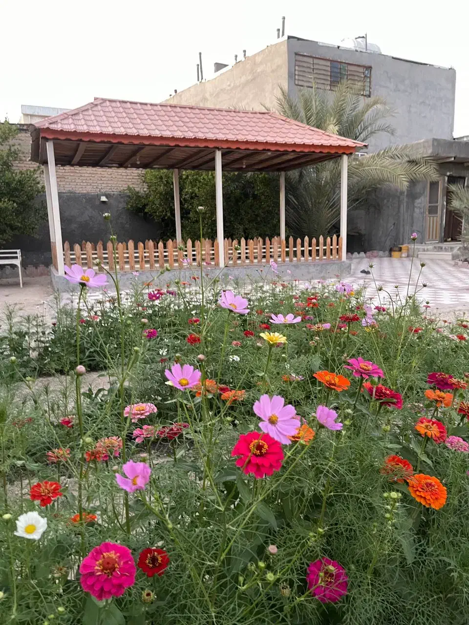 تخفیف ویژه زمین باغ سبخی|فروش زمین و ملک کلنگی|لامرد, |دیوار