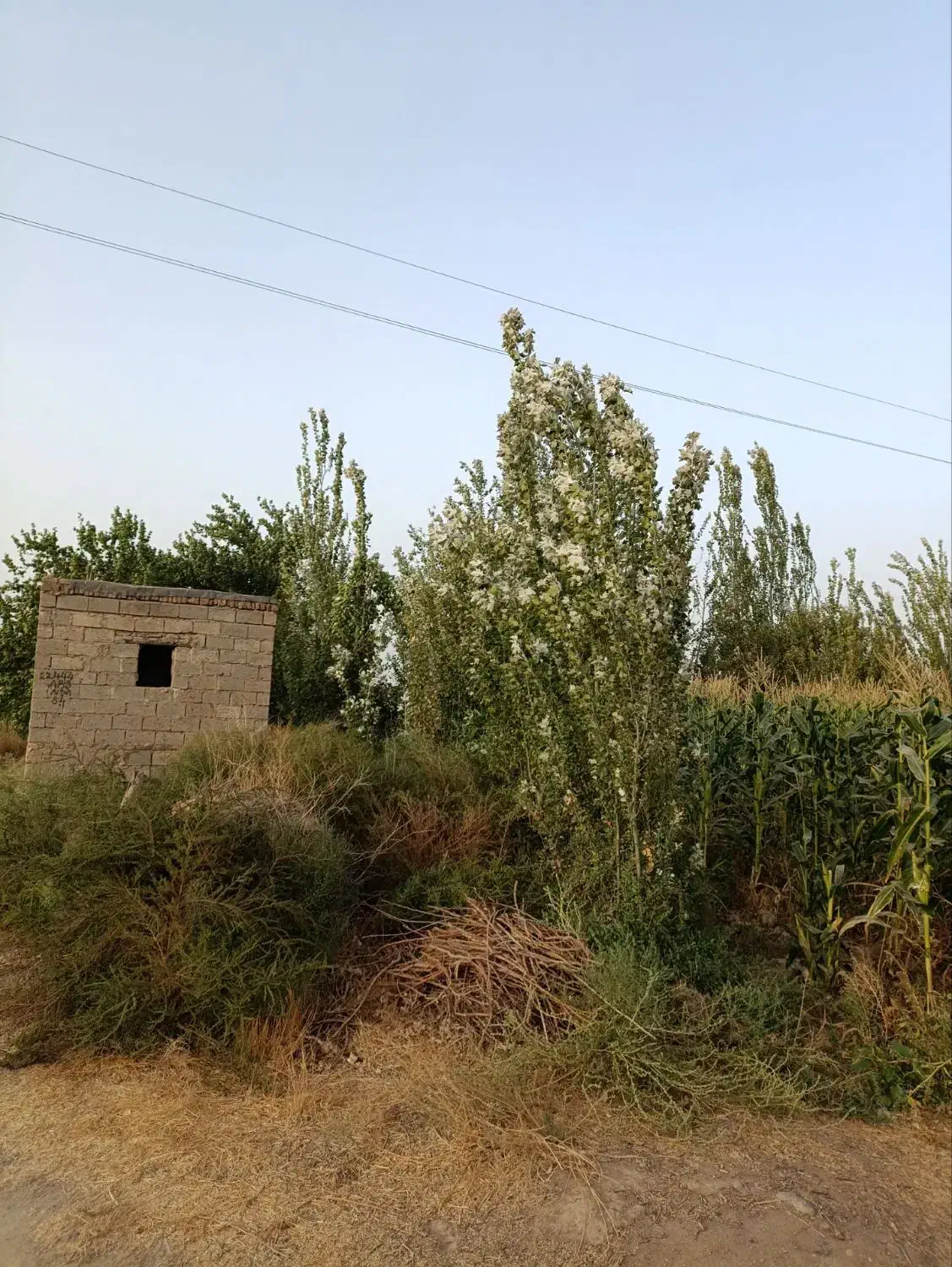 در نزدیک ترین نقطه به شهر باغ|فروش دفتر صنعتی، کشاورزی، تجاری|میاندوآب, |دیوار